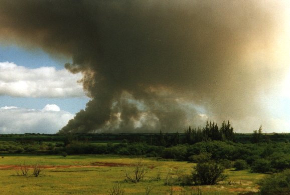 cane smoke