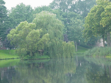 Picture in Hoorn