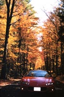 Foliage in New England - Fall 1999