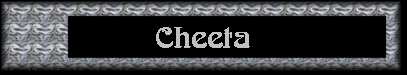 Cheeta