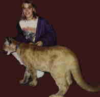 aim cougar.jpg (2546 bytes)