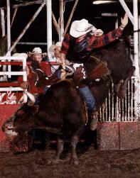 JD_Bullrider