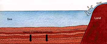 Formation of Sedimentary Rocks by compacting sediments