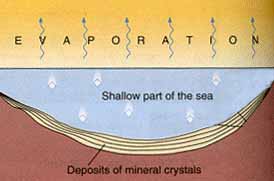 Formation of sedimentary rocks by crystallisation from dissolved minerals