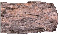 Gneiss