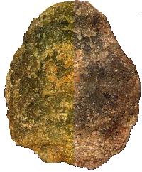 Peridotite