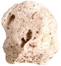 Pumice