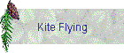 Kite Flying