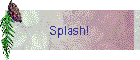 Splash!