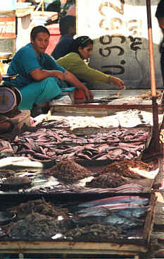 Krabi Morning Market