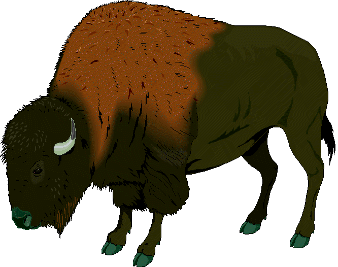 BUFFALO.wmf (155622 bytes)