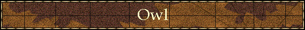 Owl