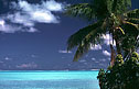 borabora.jpg (5406 bytes)