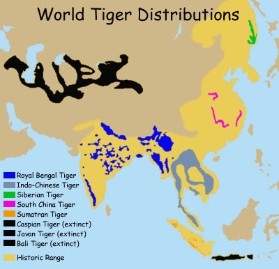 Map of Tiger Distributions  Natural History Museum of Los Angeles County Foundation