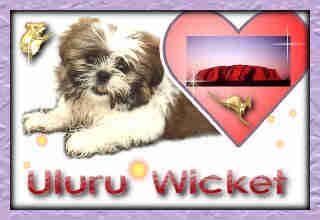 Uluru Wicket - an adoption from Lady Oz