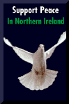 support peace in northern ireland