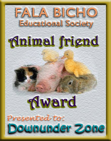 The Fala Bich Educational Society is a tireless campaigner in Brazil for the protection, spaying and neutering of animals. Thank you Paula, for this award.