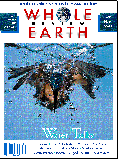 Whole Earth Review Magazine