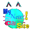 New Cat Site