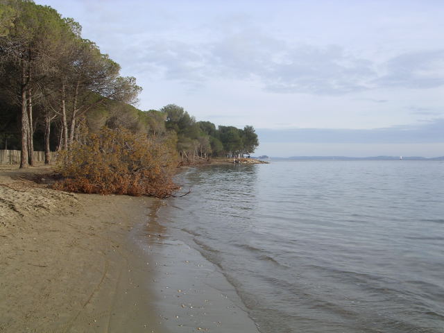 On the Beach