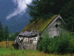 Cabane