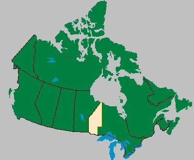 Map of Canada - Lake of the Woods section