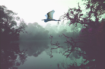 South Fork of the St. Lucie River