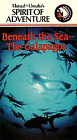 Beneath the Sea--The Galapagos Video