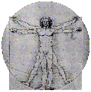 da vinci human mechanics drawing