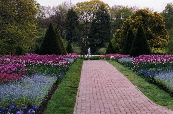 Flower Walk