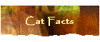 Cat Facts