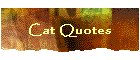 Cat Quotes