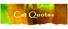 Cat Quotes