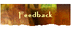 Feedback