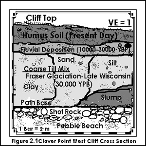 Cross Section