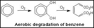 Reaction