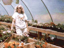 Greenhouse at h.o.m.e.