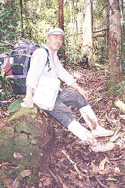 Jungle trekking in Bario (24.0KB)