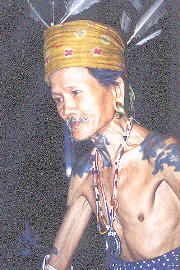 Iban warrior (19.2KB)