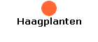 Haagplanten