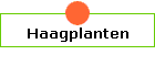 Haagplanten