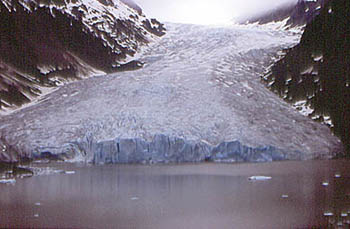 Bear Glacier