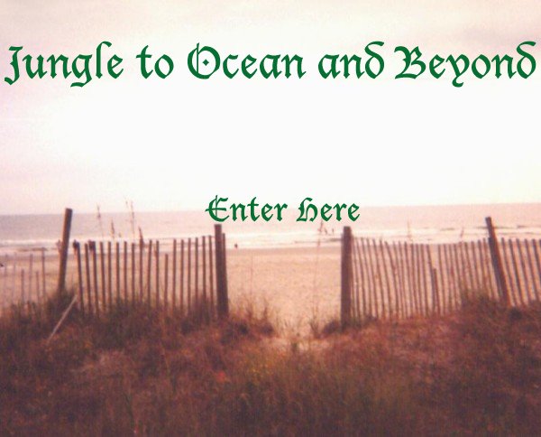 Enter Jungle to Ocean and Beyond