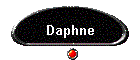 Daphne