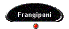 Frangipani