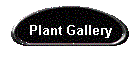 Plant Gallery