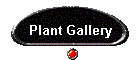 Plant Gallery