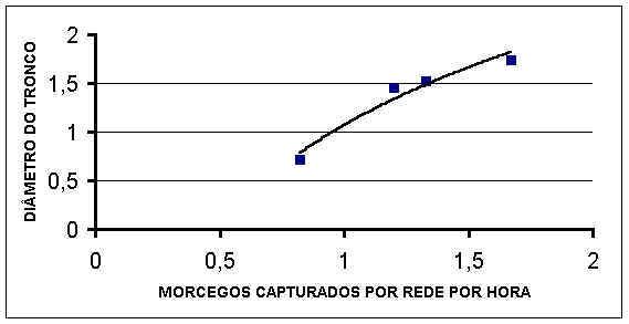 wpe3.jpg (17766 bytes)