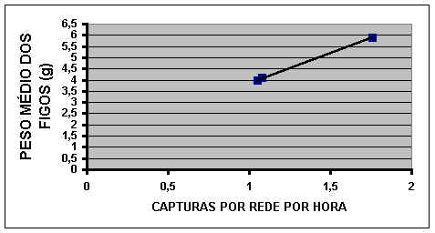 wpe4.jpg (19729 bytes)