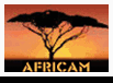 Africam